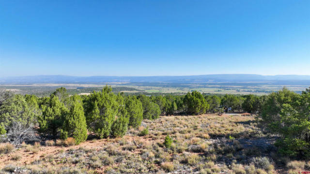 246 LA MESA VISTA DR, NORWOOD, CO 81423 - Image 1