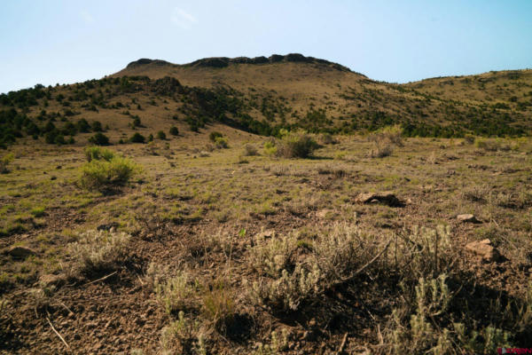 TRACT 42 WAPITI RIDGE ROAD, DEL NORTE, CO 81132, photo 4 of 9