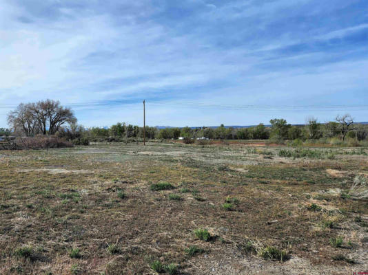 LOT 3B INDUSTRIAL DRIVE, MONTROSE, CO 81401, photo 4 of 9