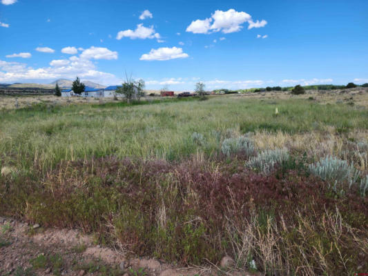 TBD RED FEATHER RD, SOUTH FORK, CO 81154, photo 4 of 7
