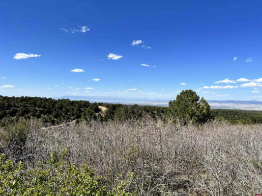 TRACT 56 WILDCAT CANYON ROAD, MONTROSE, CO 81403, photo 2 of 30