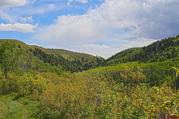 TBD HWY 141, GATEWAY, CO 81522, photo 2 of 22