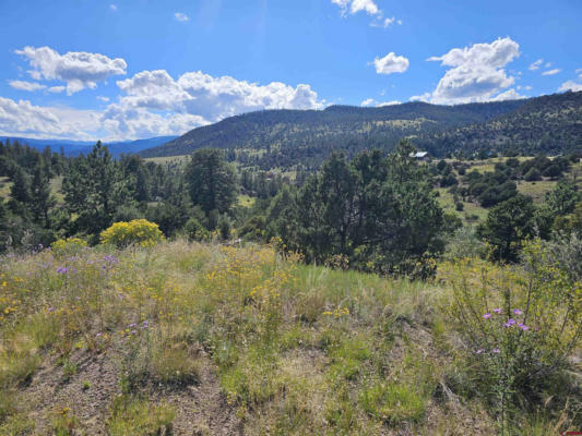 3527 BEAR CREEK CIR, SOUTH FORK, CO 81154 - Image 1